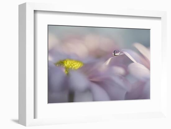 The first or the last-Heidi Westum-Framed Photographic Print