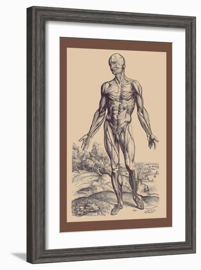 The First Plate of the Muscles-Andreas Vesalius-Framed Art Print