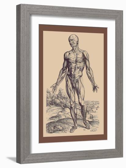 The First Plate of the Muscles-Andreas Vesalius-Framed Art Print