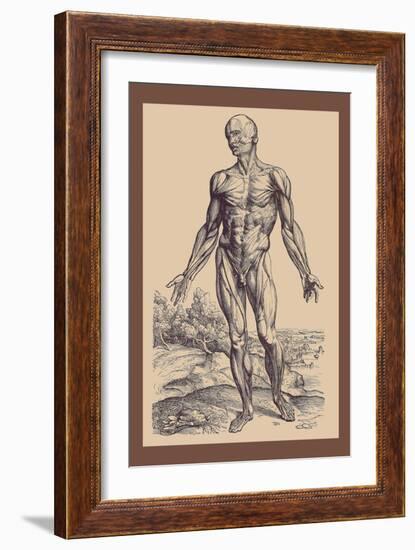 The First Plate of the Muscles-Andreas Vesalius-Framed Art Print