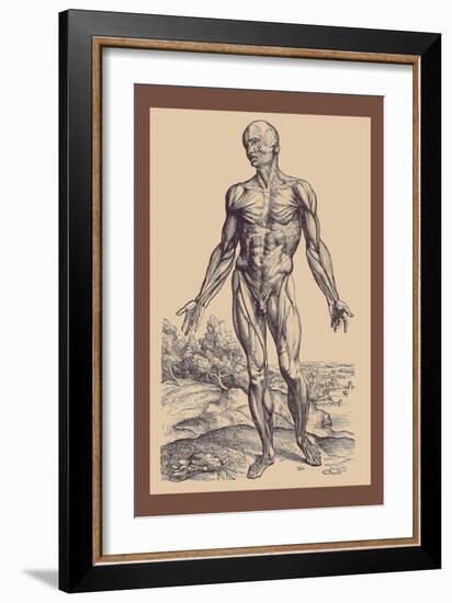 The First Plate of the Muscles-Andreas Vesalius-Framed Art Print