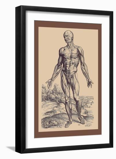 The First Plate of the Muscles-Andreas Vesalius-Framed Art Print