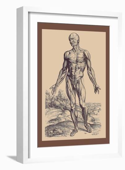 The First Plate of the Muscles-Andreas Vesalius-Framed Art Print