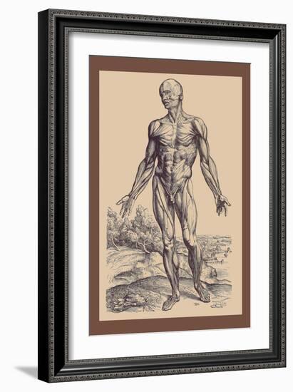 The First Plate of the Muscles-Andreas Vesalius-Framed Art Print