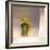 The First Primrose-Valda Bailey-Framed Photographic Print