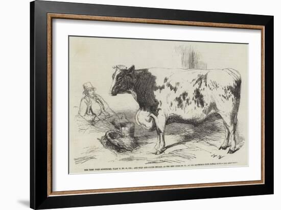 The First Prize Shorthorn-Harrison William Weir-Framed Giclee Print