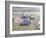 The First Race at the Goodwood Revival, 1998-Clive Metcalfe-Framed Giclee Print