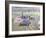 The First Race at the Goodwood Revival, 1998-Clive Metcalfe-Framed Giclee Print