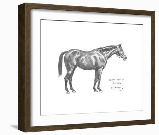 The First Study of Warrior-Sir Alfred Munnings-Framed Premium Giclee Print