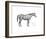 The First Study of Warrior-Sir Alfred Munnings-Framed Premium Giclee Print