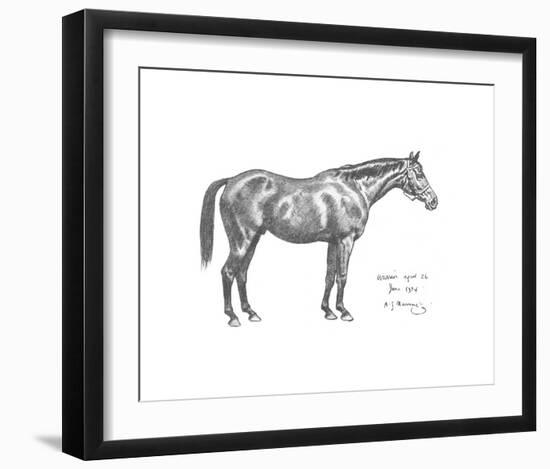 The First Study of Warrior-Sir Alfred Munnings-Framed Premium Giclee Print