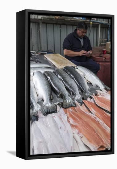 The fish market in Castro, Chiloe, Patagonia, Chile, South America-Alex Robinson-Framed Premier Image Canvas