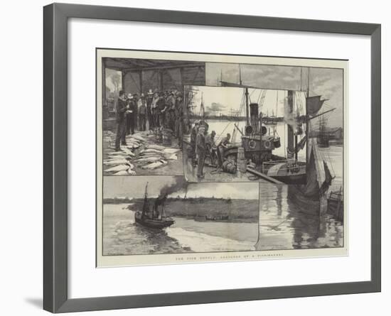 The Fish Supply, Sketches of a Fish-Market-null-Framed Giclee Print