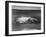 The Fishing Cone-Yellowstone Lake Yellowstone National Park Wyoming. 1933-1942-Ansel Adams-Framed Art Print