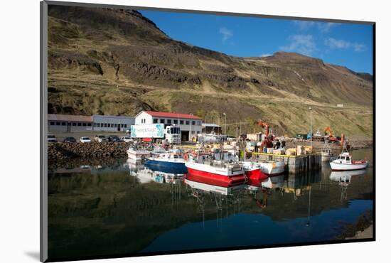 The Fishing Port of Nordurfjordur, Arneshreppur, West Fjords, Iceland, Polar Regions-Ethel Davies-Mounted Photographic Print