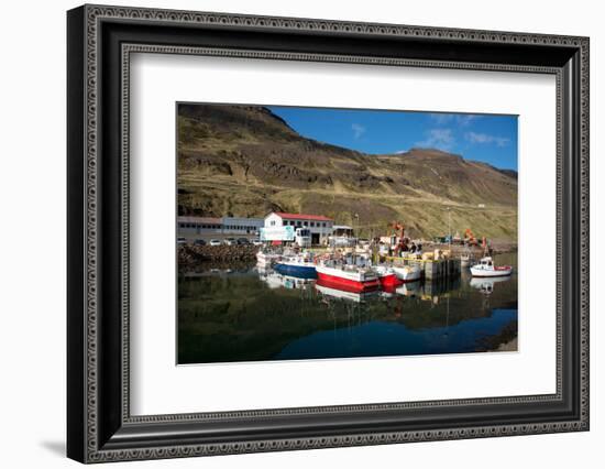 The Fishing Port of Nordurfjordur, Arneshreppur, West Fjords, Iceland, Polar Regions-Ethel Davies-Framed Photographic Print