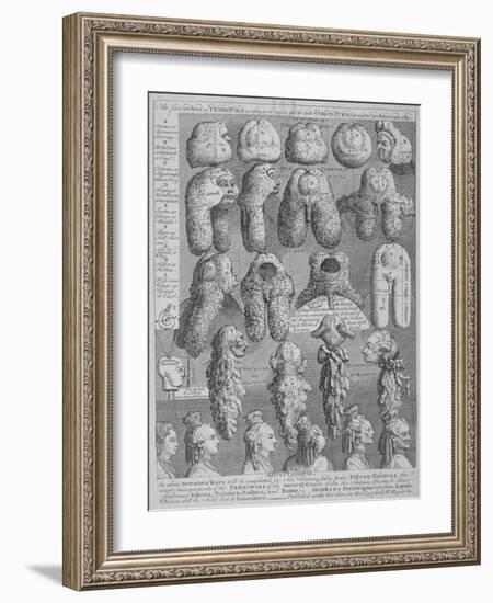 The Five Orders of Perriwigs 1761-William Hogarth-Framed Giclee Print