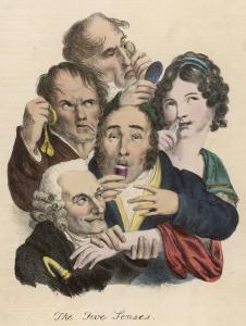 The Five Senses Sight Hearing Smell Taste Touch