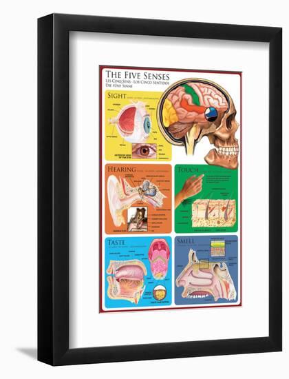 The Five Senses-null-Framed Art Print