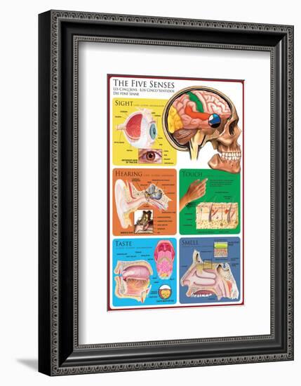 The Five Senses-null-Framed Art Print