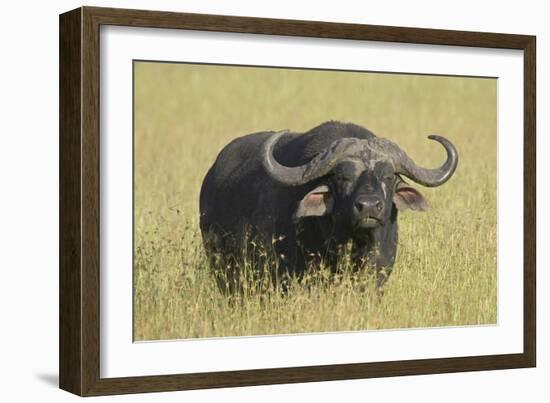 The Fixed Stare-Susann Parker-Framed Photographic Print