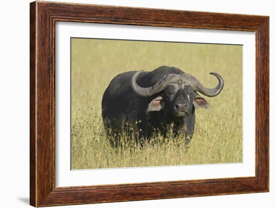 The Fixed Stare-Susann Parker-Framed Photographic Print