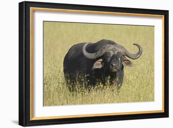 The Fixed Stare-Susann Parker-Framed Photographic Print