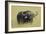 The Fixed Stare-Susann Parker-Framed Photographic Print