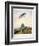 The Flag That Has Waved for One Hundred Years-null-Framed Giclee Print