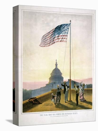 Stretched Canvas Print, , large