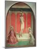 The Flagellation, 1442-Fra Angelico-Mounted Giclee Print