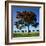 The Flame Tree, or Royal Poiniana Is a Tropical Flowering Plant, Dubai-LatitudeStock-Framed Photographic Print