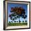 The Flame Tree, or Royal Poiniana Is a Tropical Flowering Plant, Dubai-LatitudeStock-Framed Photographic Print