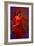 The Flamenco Dancer-Steven Boone-Framed Photographic Print