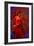 The Flamenco Dancer-Steven Boone-Framed Photographic Print