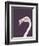 The Flamingo-Design Fabrikken-Framed Photographic Print