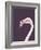 The Flamingo-Design Fabrikken-Framed Photographic Print