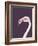 The Flamingo-Design Fabrikken-Framed Photographic Print