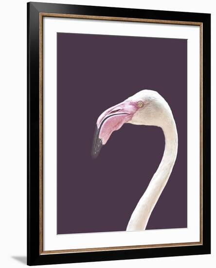 The Flamingo-Design Fabrikken-Framed Photographic Print