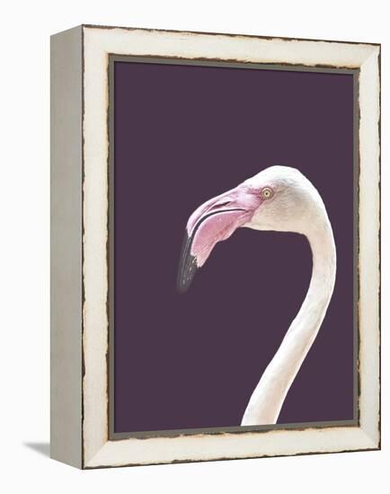 The Flamingo-Design Fabrikken-Framed Premier Image Canvas