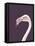 The Flamingo-Design Fabrikken-Framed Premier Image Canvas