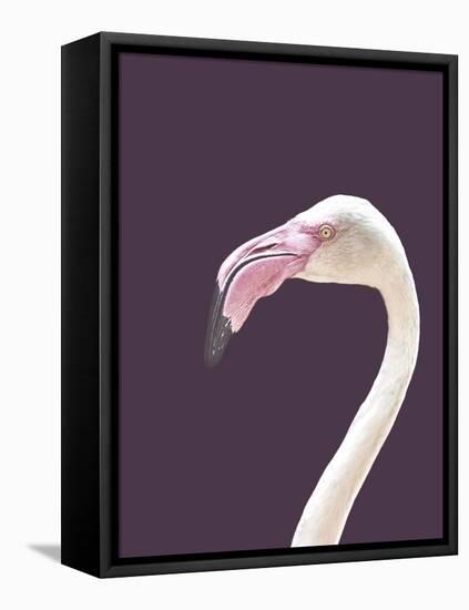 The Flamingo-Design Fabrikken-Framed Premier Image Canvas