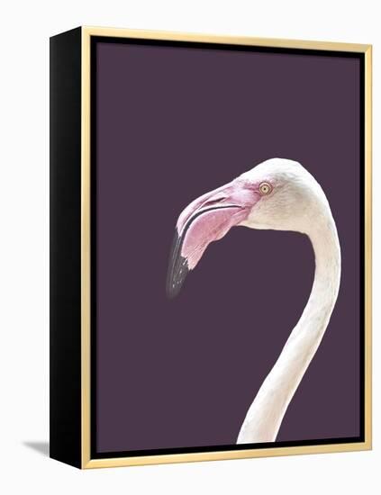 The Flamingo-Design Fabrikken-Framed Premier Image Canvas