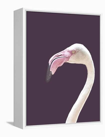 The Flamingo-Design Fabrikken-Framed Premier Image Canvas