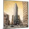The Flatiron Building-Matthew Daniels-Mounted Art Print
