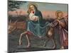 The Flight into Egypt, St. Anthony Coptic Church, Jerusalem, Israel, Middle East-Godong-Mounted Photographic Print