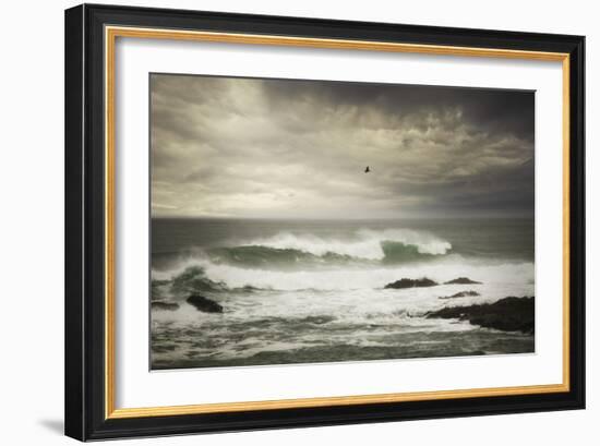 The Flight-Natalie Mikaels-Framed Photographic Print