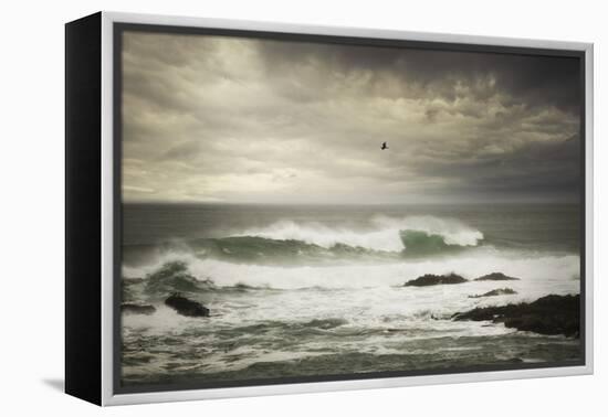 The Flight-Natalie Mikaels-Framed Premier Image Canvas