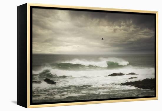 The Flight-Natalie Mikaels-Framed Premier Image Canvas