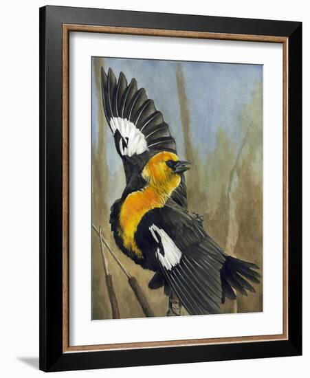 The Flirt-Barbara Keith-Framed Giclee Print